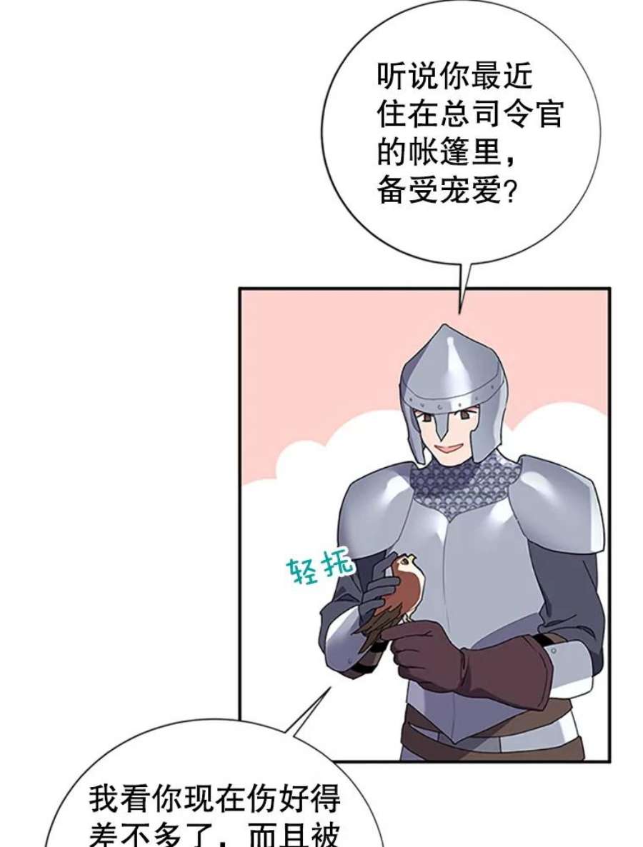 传令鸟公主殿下20.法拉尔的爱鸟？