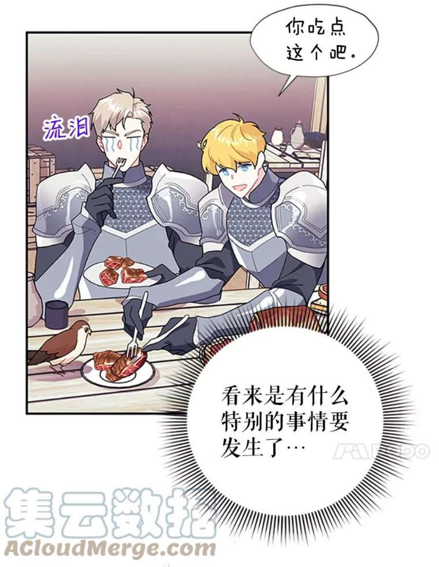传令鸟公主殿下20.法拉尔的爱鸟？