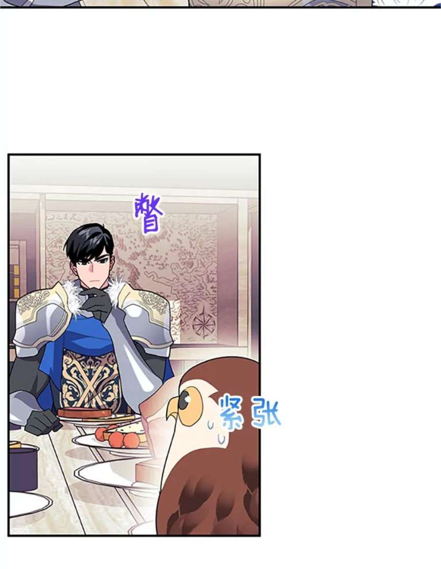 传令鸟公主殿下20.法拉尔的爱鸟？