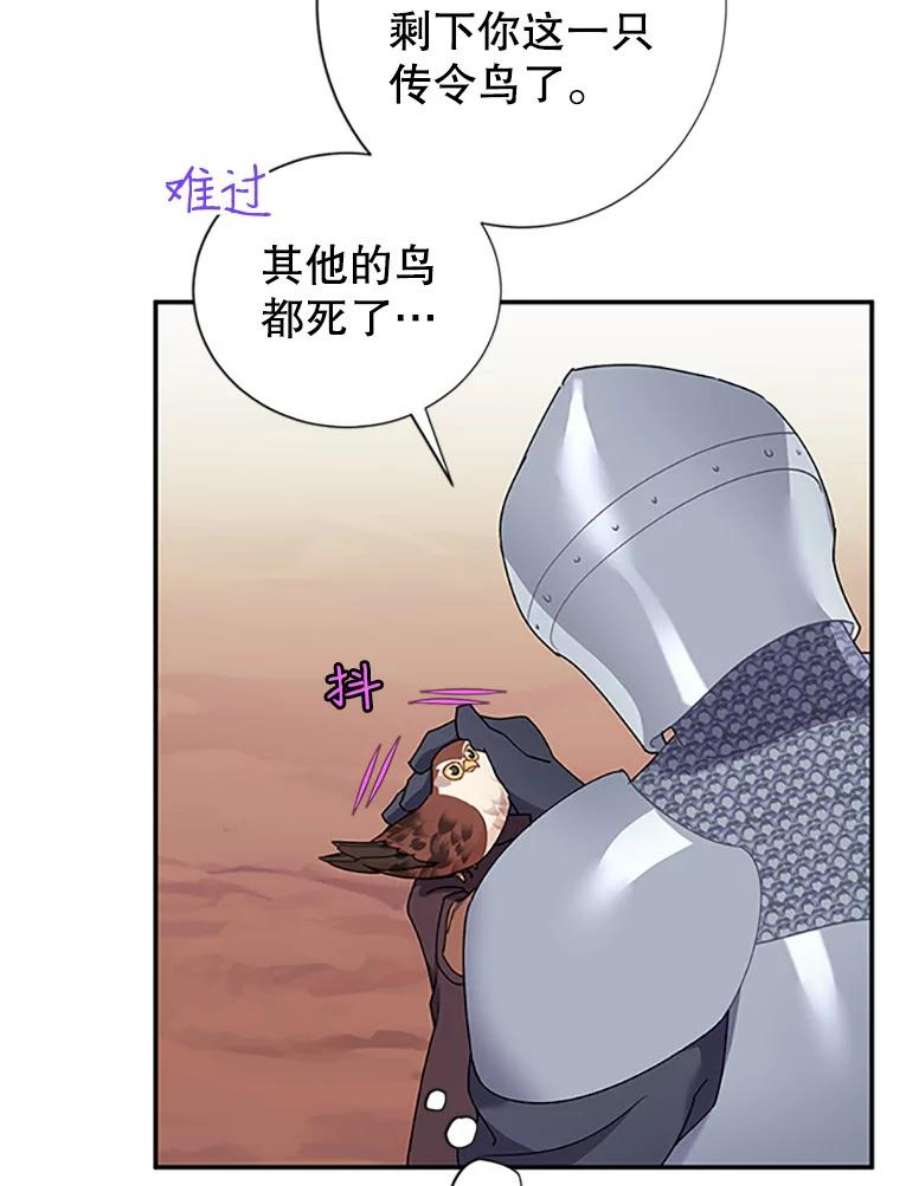 传令鸟公主殿下20.法拉尔的爱鸟？
