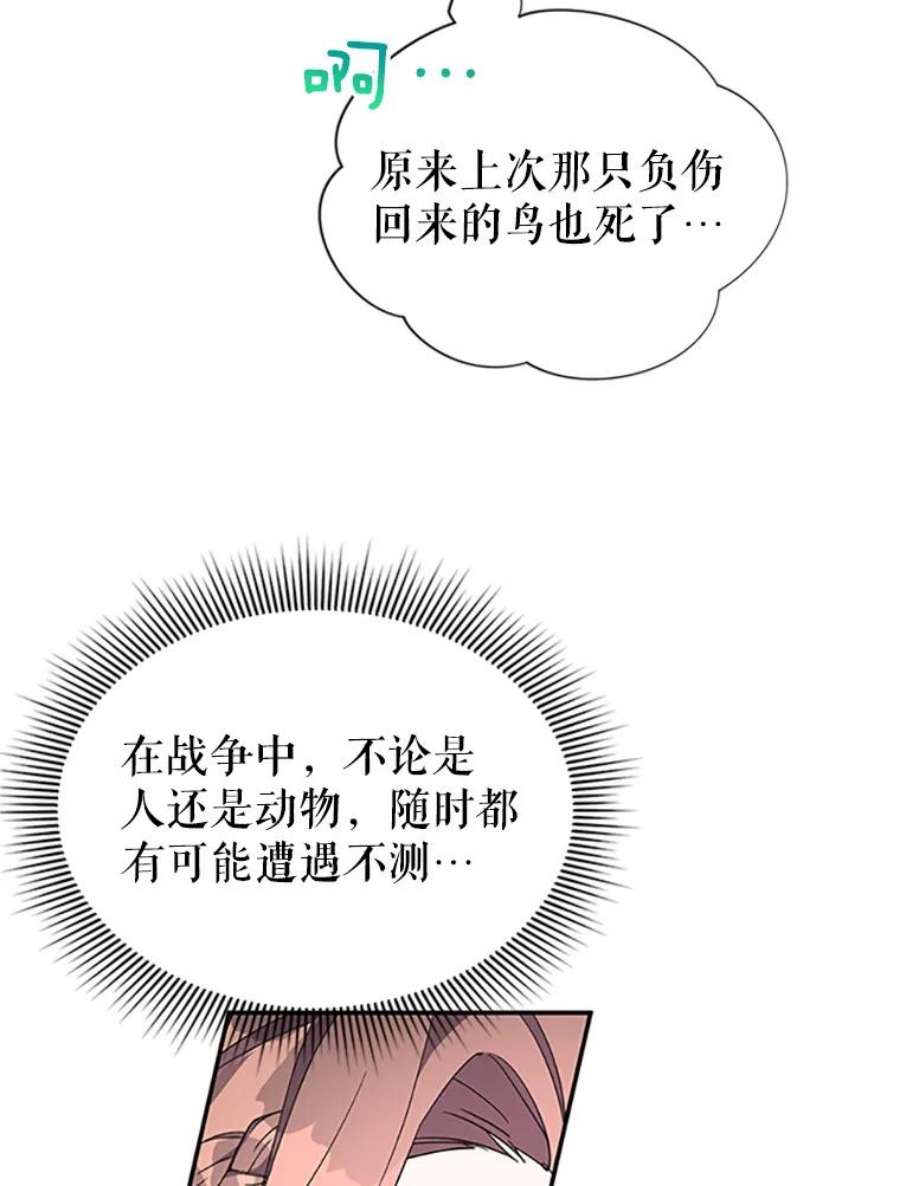 传令鸟公主殿下20.法拉尔的爱鸟？