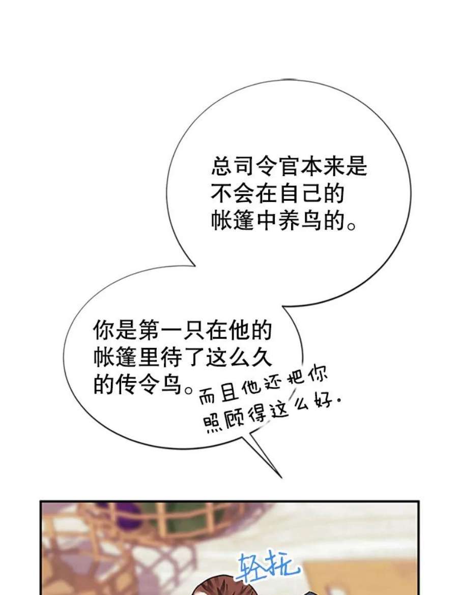 传令鸟公主殿下20.法拉尔的爱鸟？