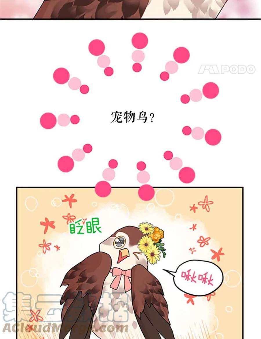 传令鸟公主殿下20.法拉尔的爱鸟？