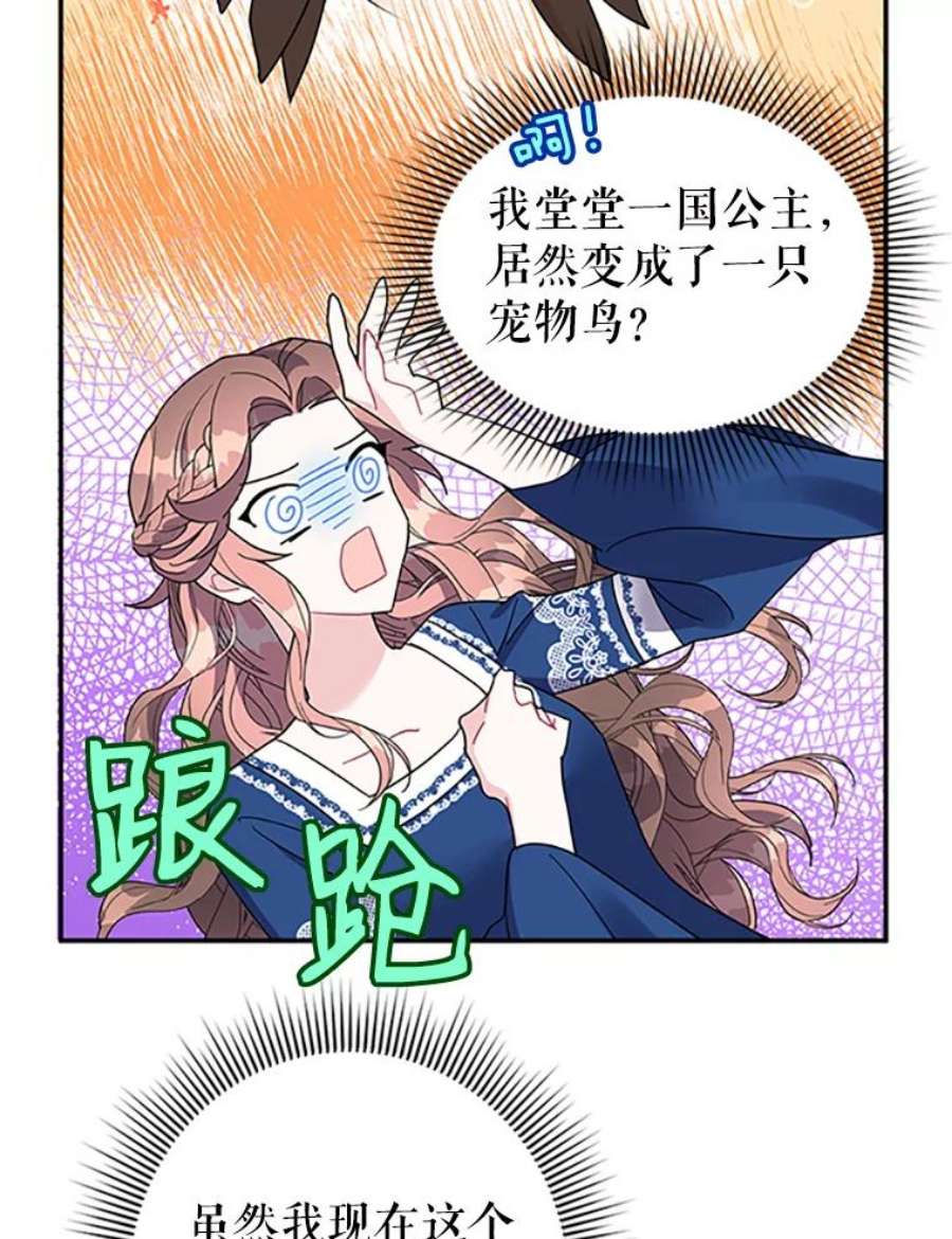 传令鸟公主殿下20.法拉尔的爱鸟？