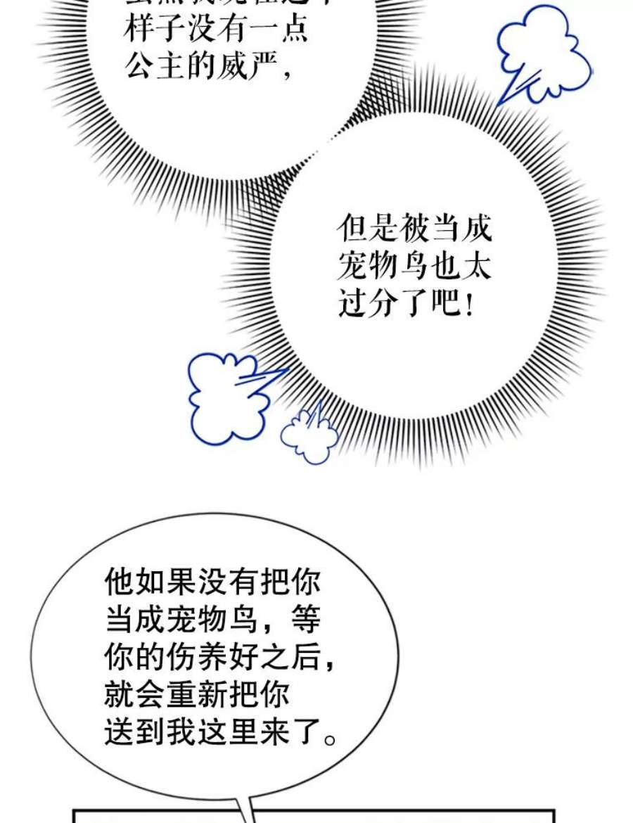 传令鸟公主殿下20.法拉尔的爱鸟？