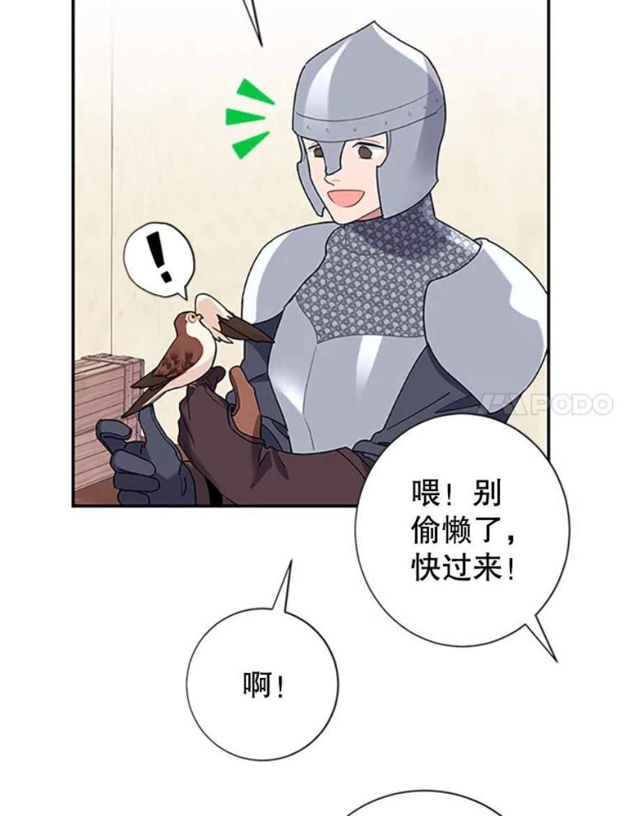 传令鸟公主殿下20.法拉尔的爱鸟？
