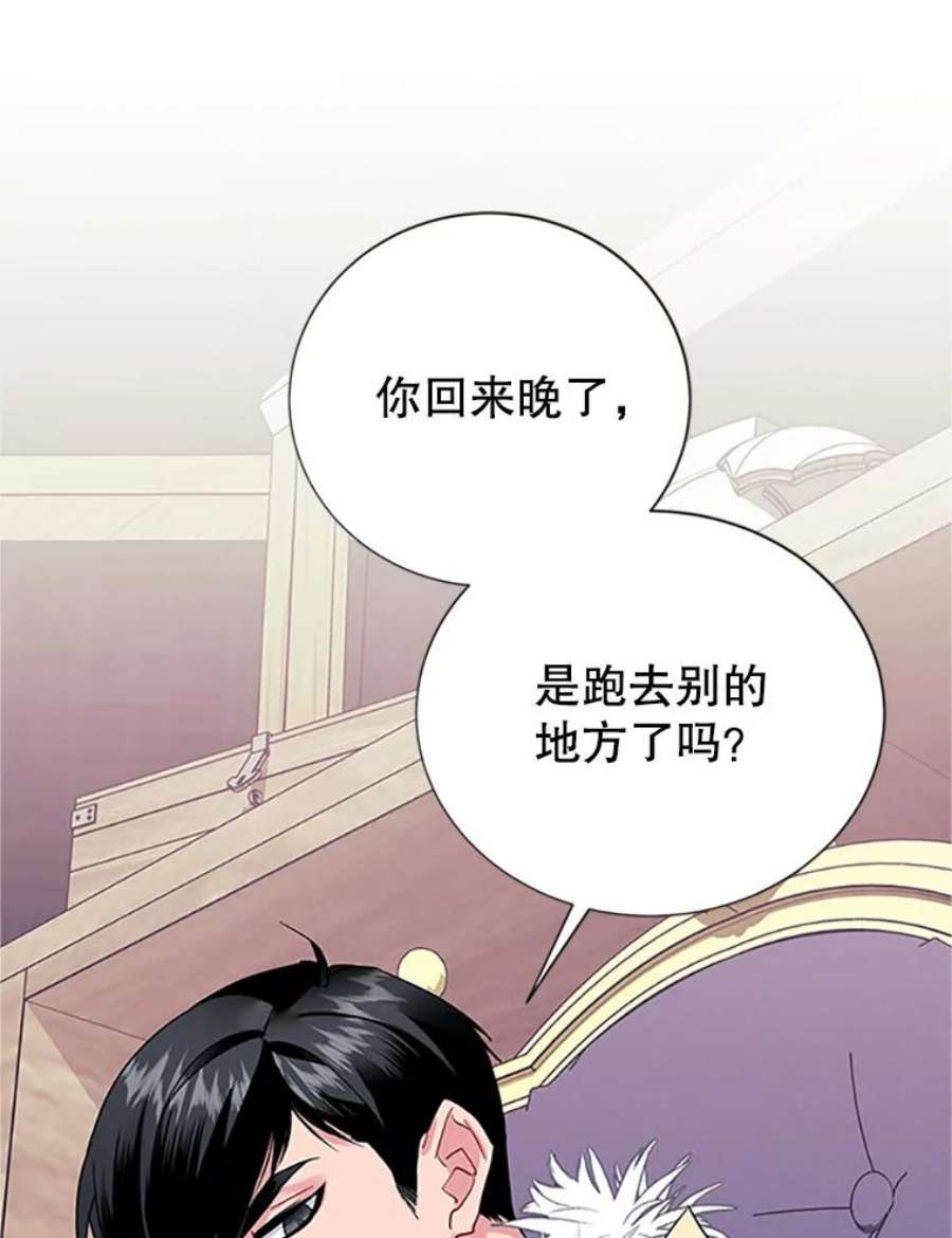 传令鸟公主殿下20.法拉尔的爱鸟？