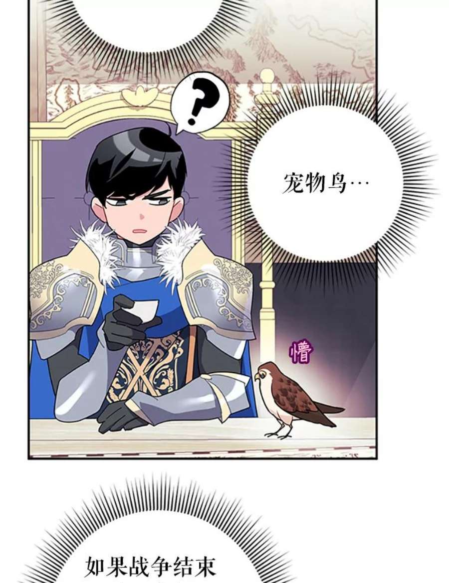 传令鸟公主殿下20.法拉尔的爱鸟？