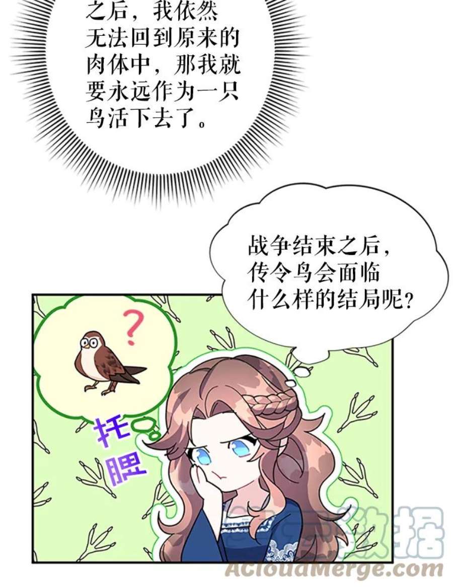 传令鸟公主殿下20.法拉尔的爱鸟？