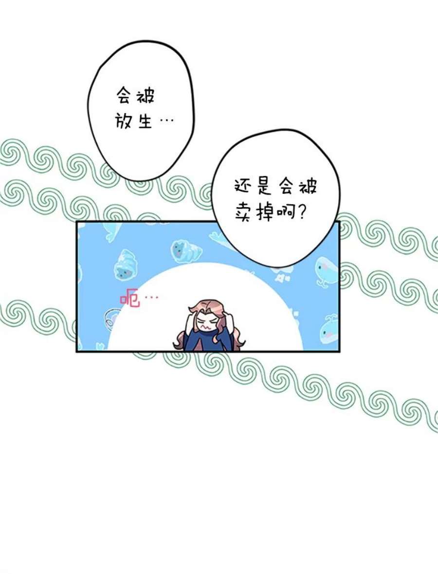 传令鸟公主殿下20.法拉尔的爱鸟？