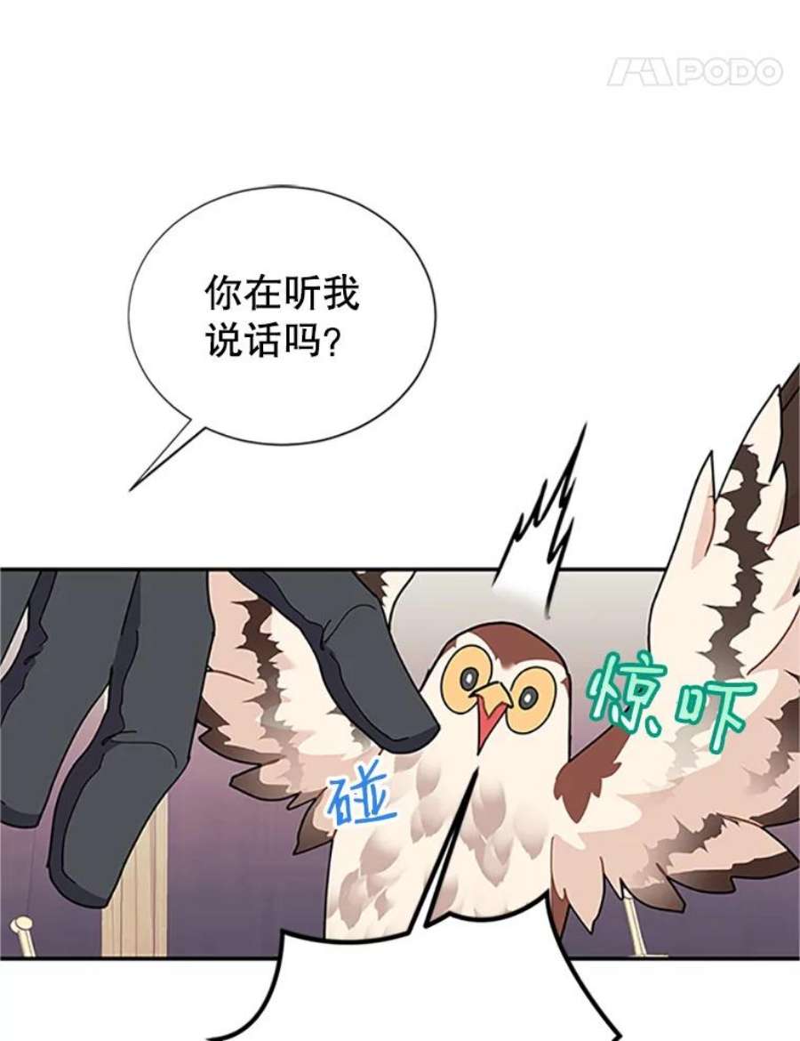 传令鸟公主殿下20.法拉尔的爱鸟？