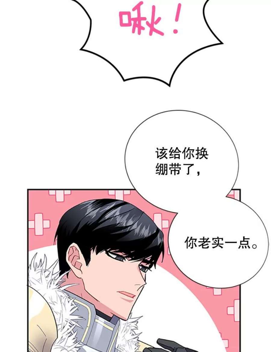 传令鸟公主殿下20.法拉尔的爱鸟？