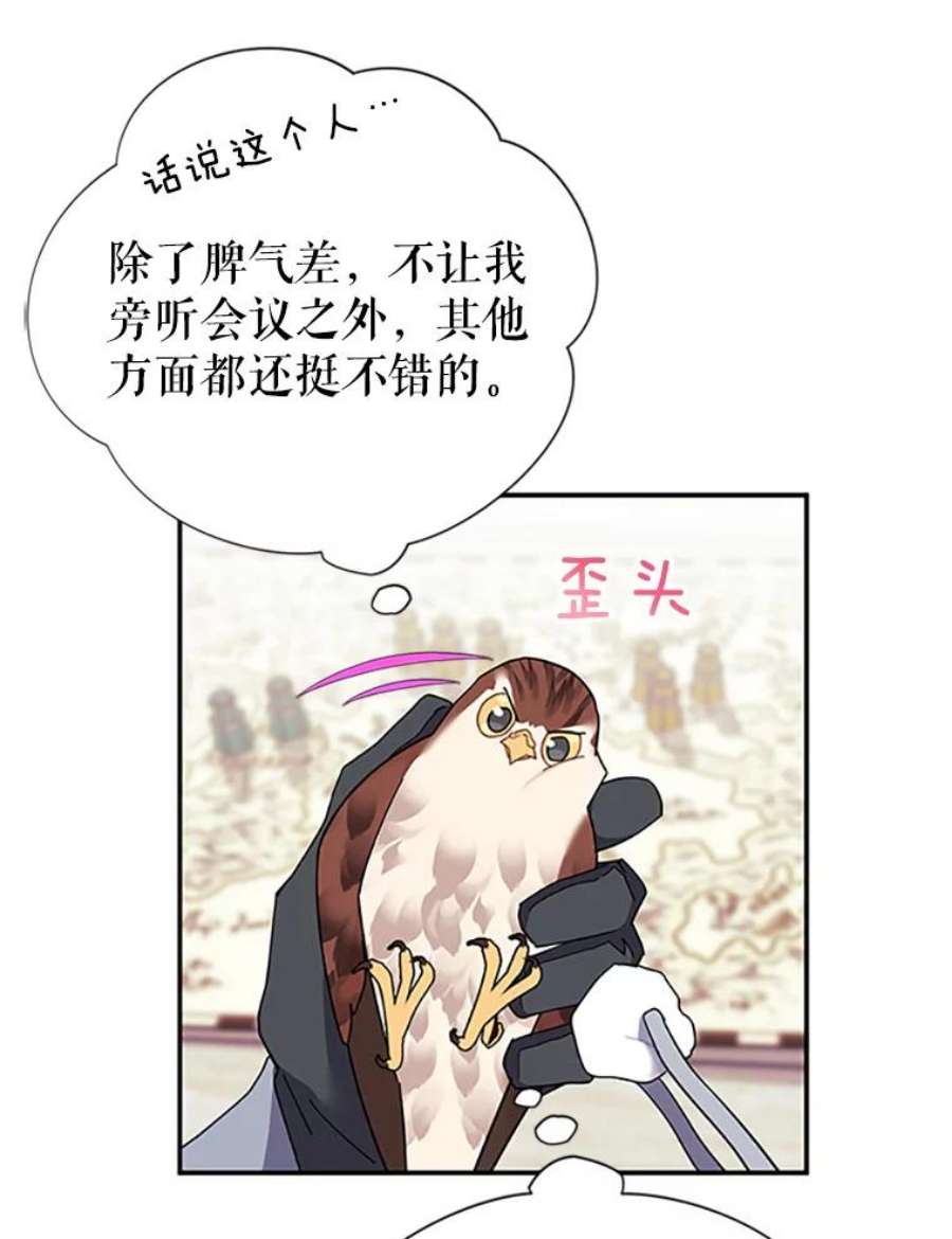 传令鸟公主殿下20.法拉尔的爱鸟？
