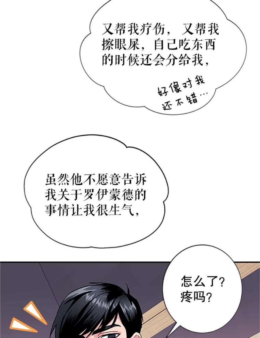 传令鸟公主殿下20.法拉尔的爱鸟？