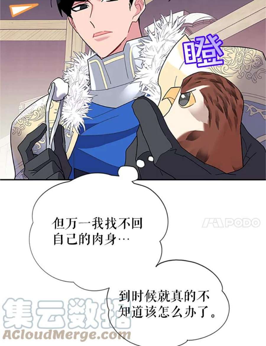 传令鸟公主殿下20.法拉尔的爱鸟？