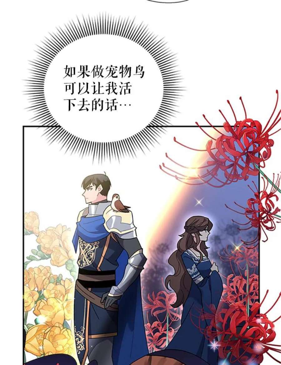 传令鸟公主殿下20.法拉尔的爱鸟？