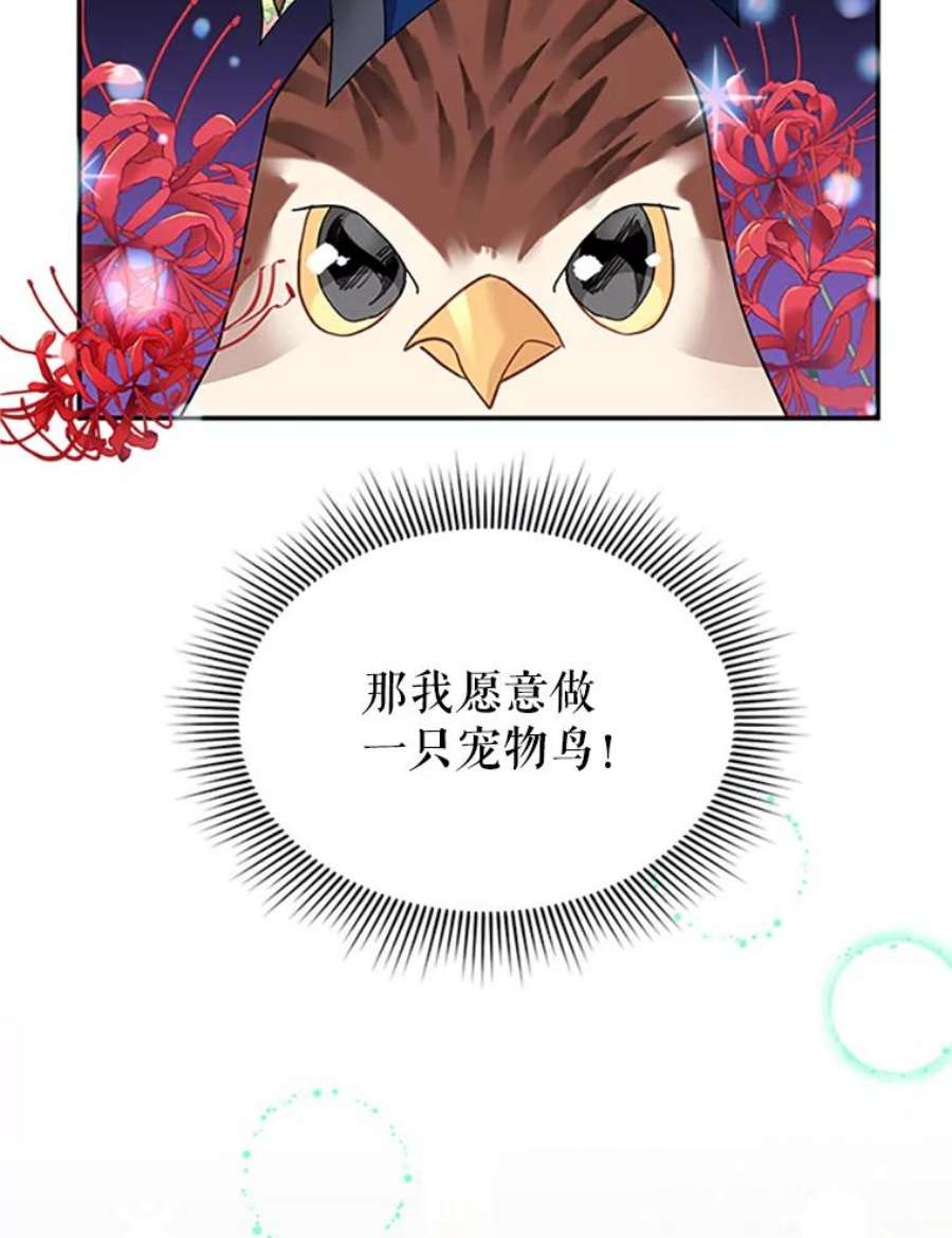 传令鸟公主殿下20.法拉尔的爱鸟？