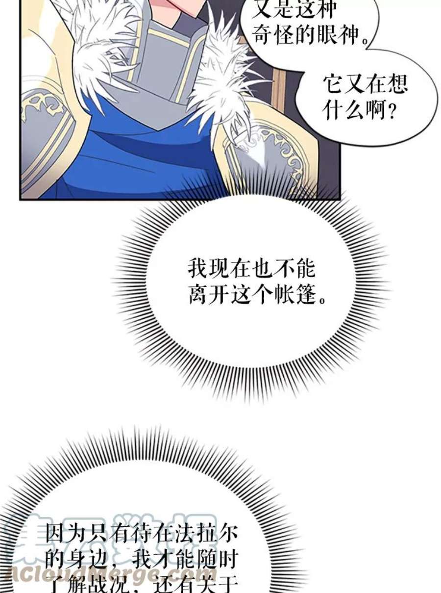 传令鸟公主殿下20.法拉尔的爱鸟？