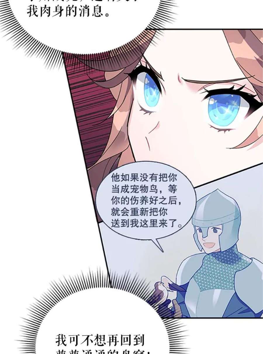 传令鸟公主殿下20.法拉尔的爱鸟？