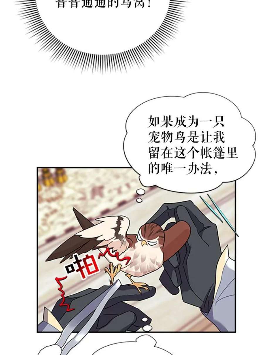 传令鸟公主殿下20.法拉尔的爱鸟？