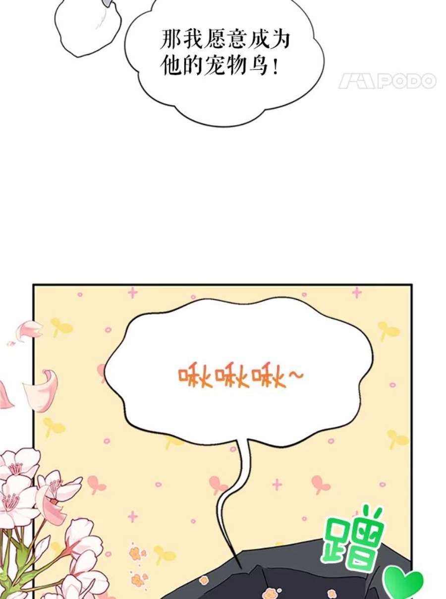传令鸟公主殿下20.法拉尔的爱鸟？