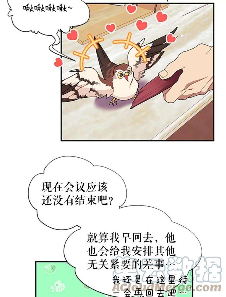 传令鸟公主殿下20.法拉尔的爱鸟？