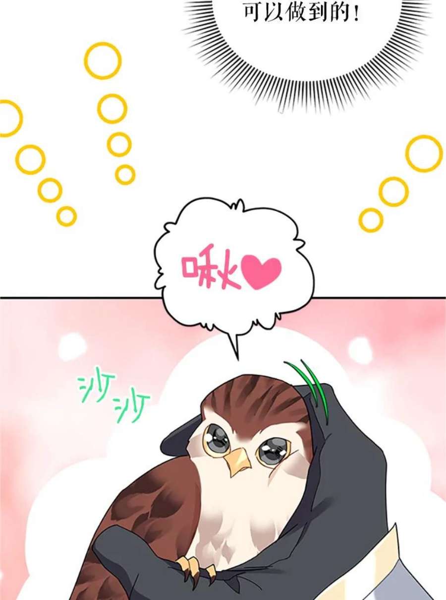 传令鸟公主殿下20.法拉尔的爱鸟？