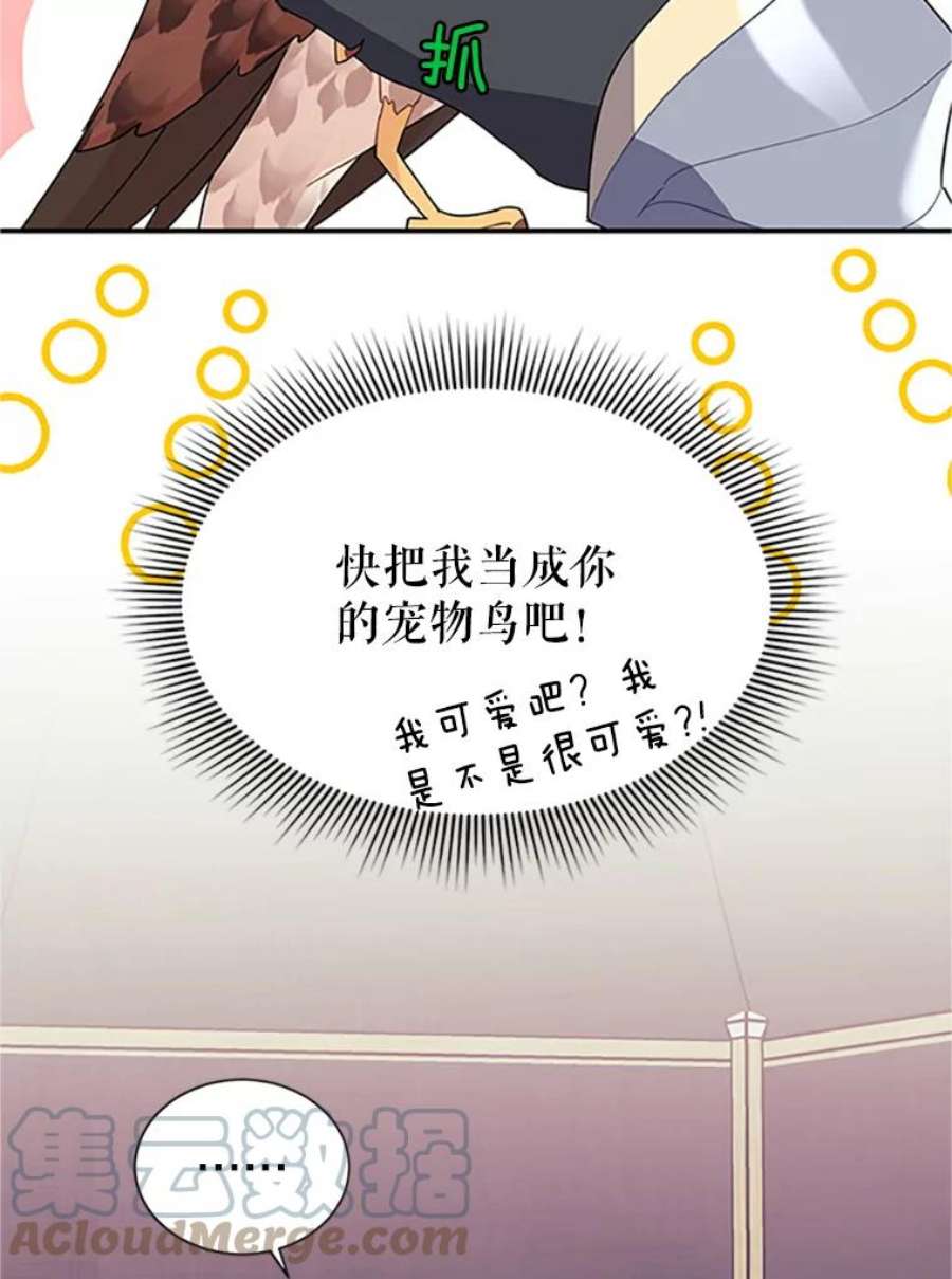 传令鸟公主殿下20.法拉尔的爱鸟？
