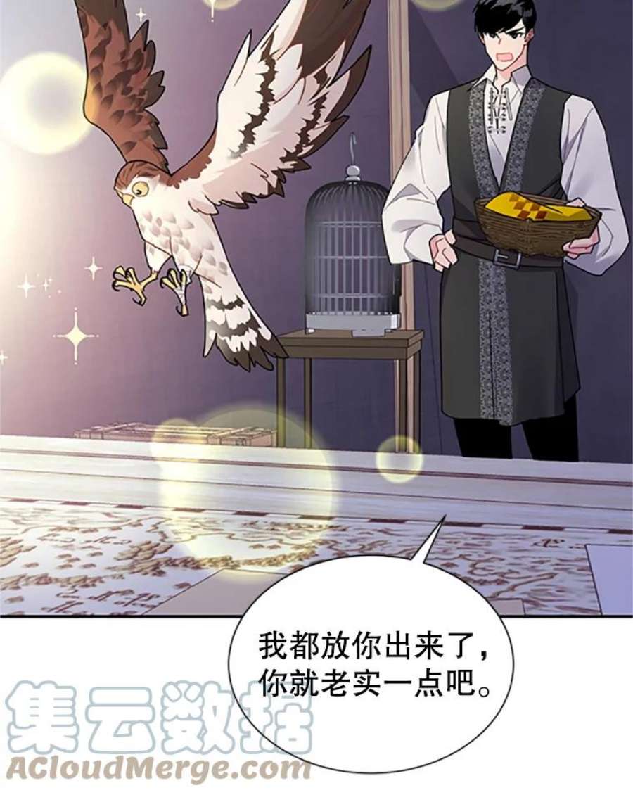 传令鸟公主殿下21.敞开心扉