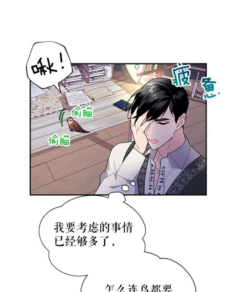 传令鸟公主殿下21.敞开心扉