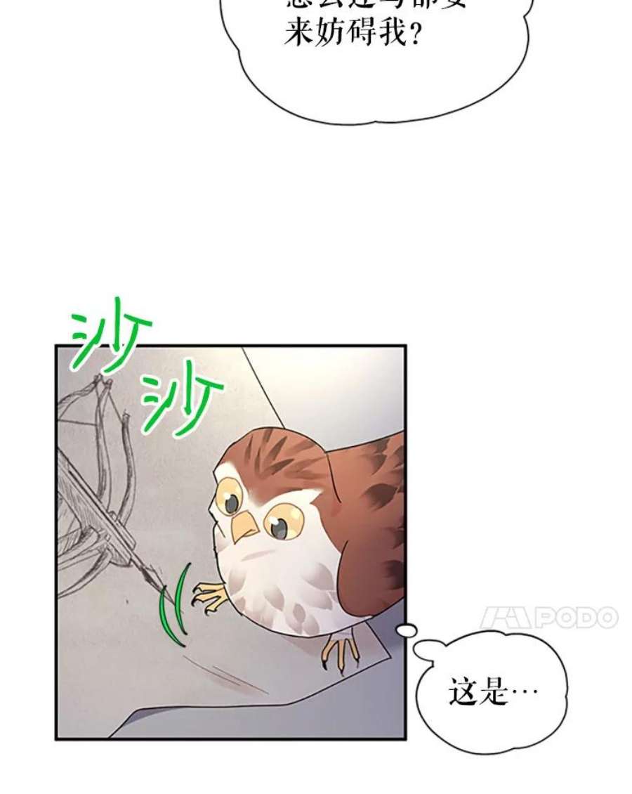 传令鸟公主殿下21.敞开心扉