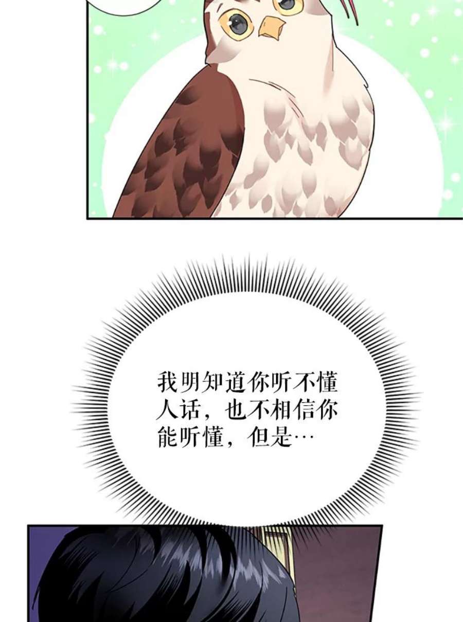 传令鸟公主殿下21.敞开心扉