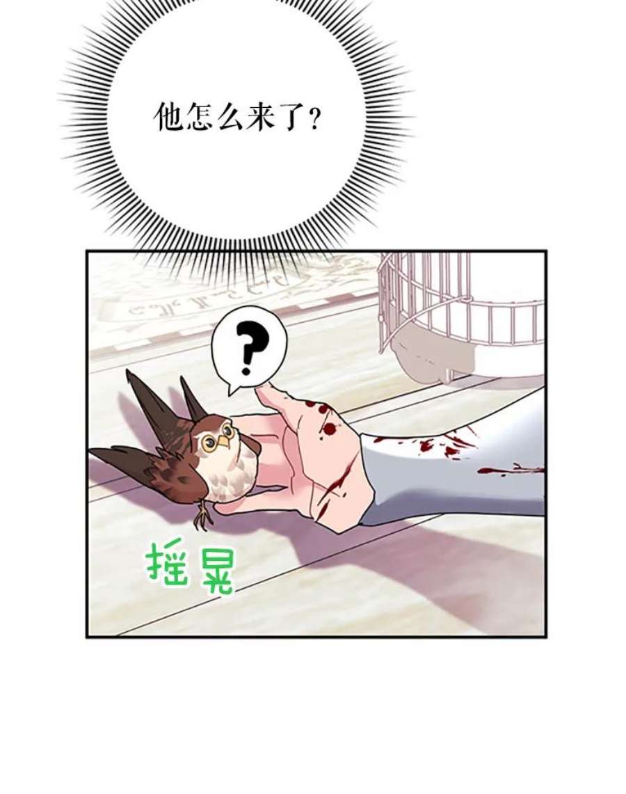 传令鸟公主殿下22.这次有你的功劳！