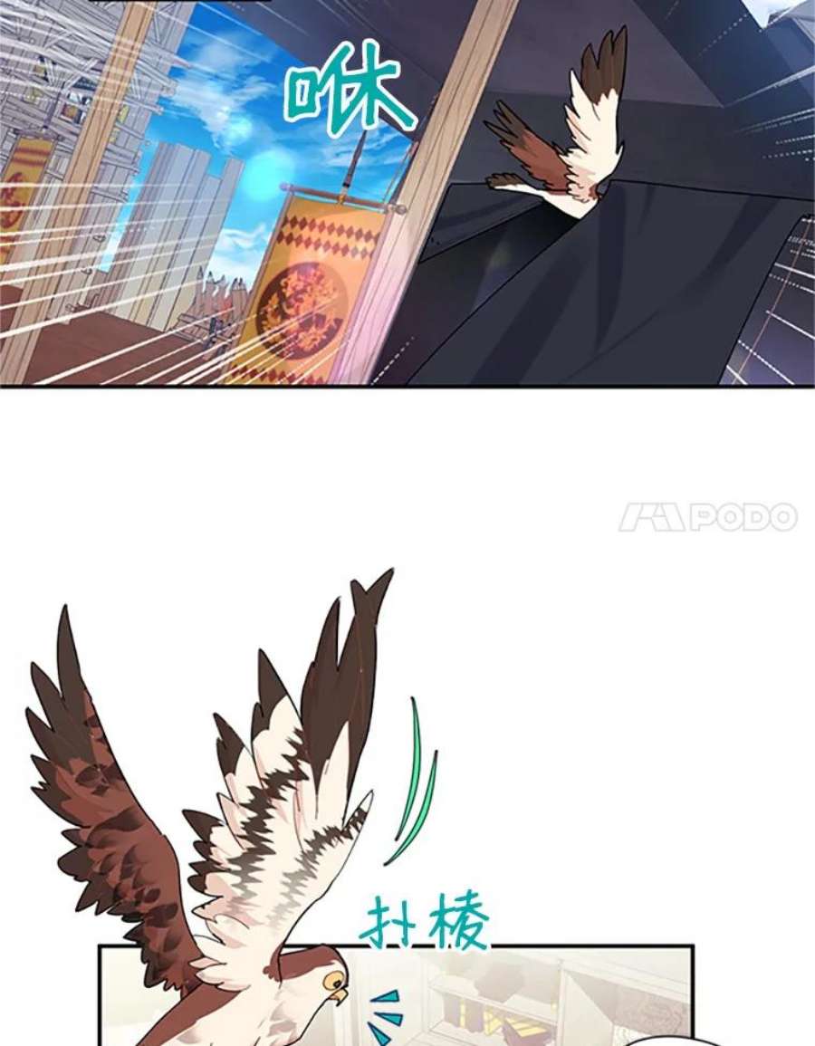 传令鸟公主殿下22.这次有你的功劳！