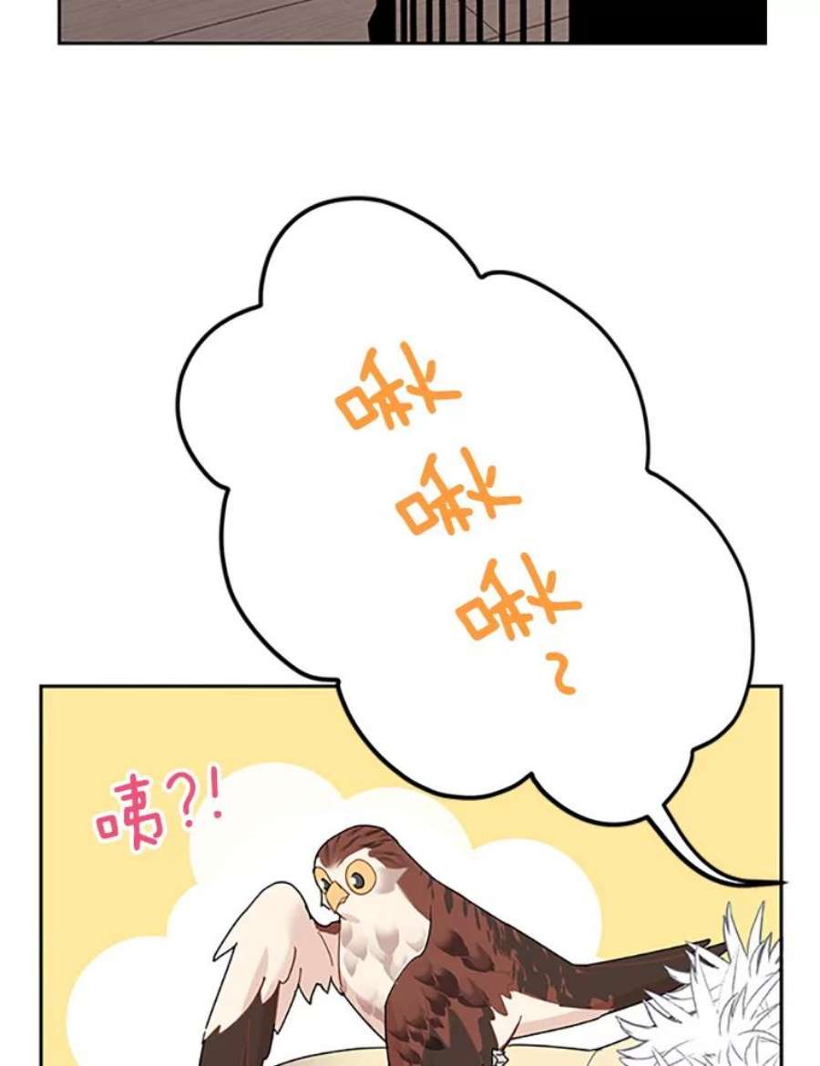 传令鸟公主殿下22.这次有你的功劳！