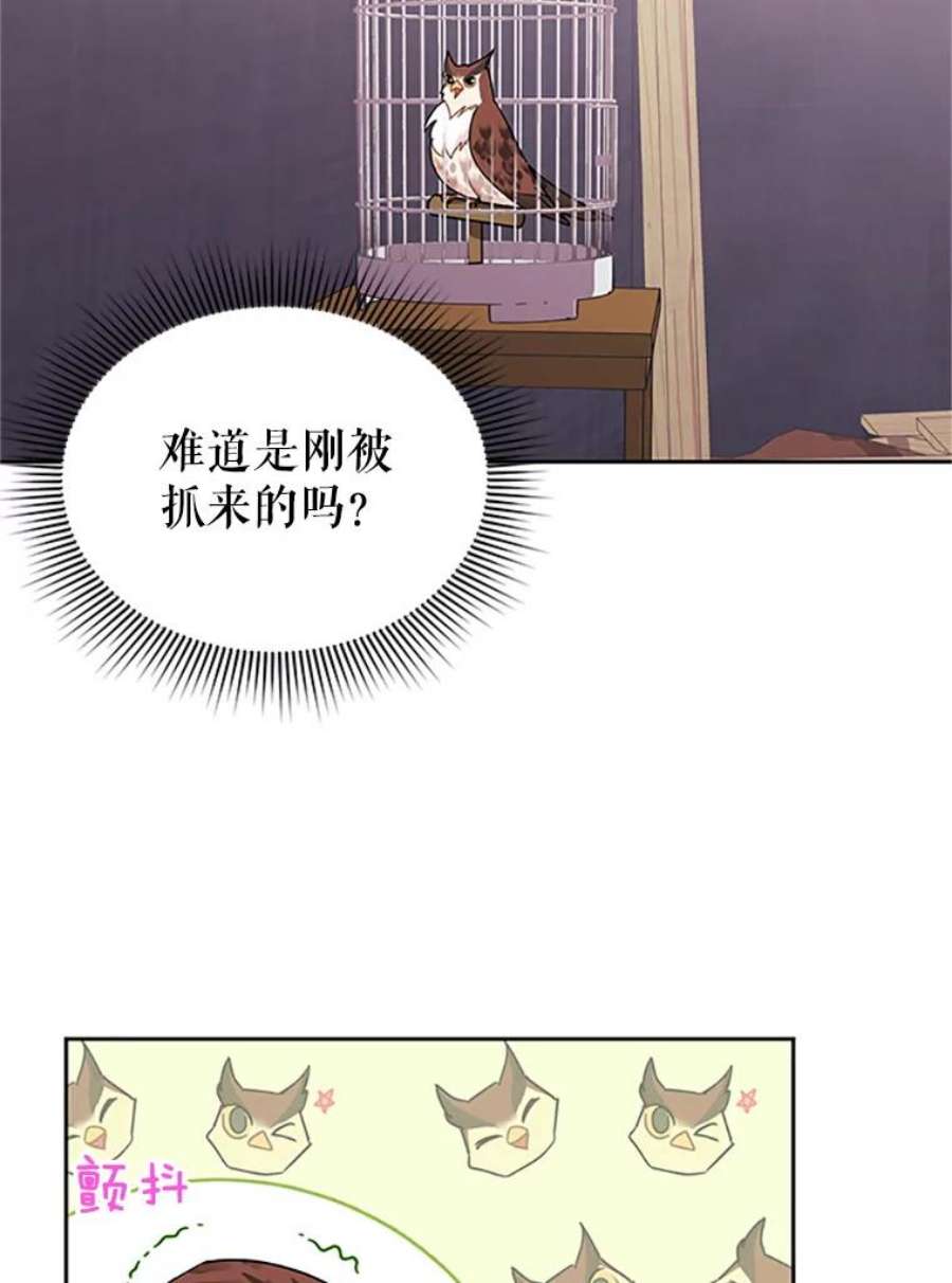 传令鸟公主殿下23.国王的交易