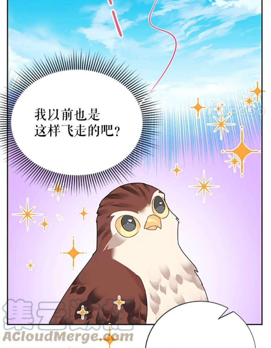 传令鸟公主殿下23.国王的交易