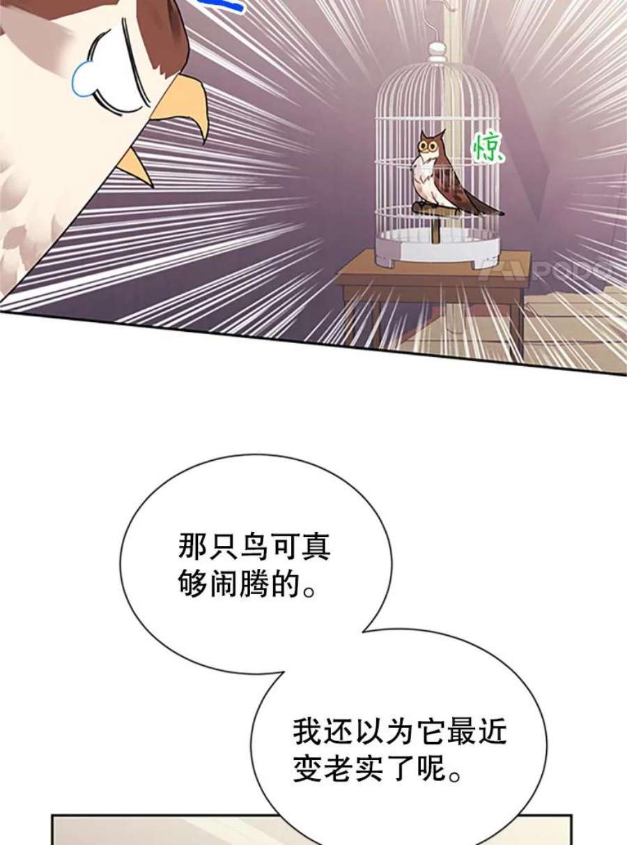 传令鸟公主殿下23.国王的交易