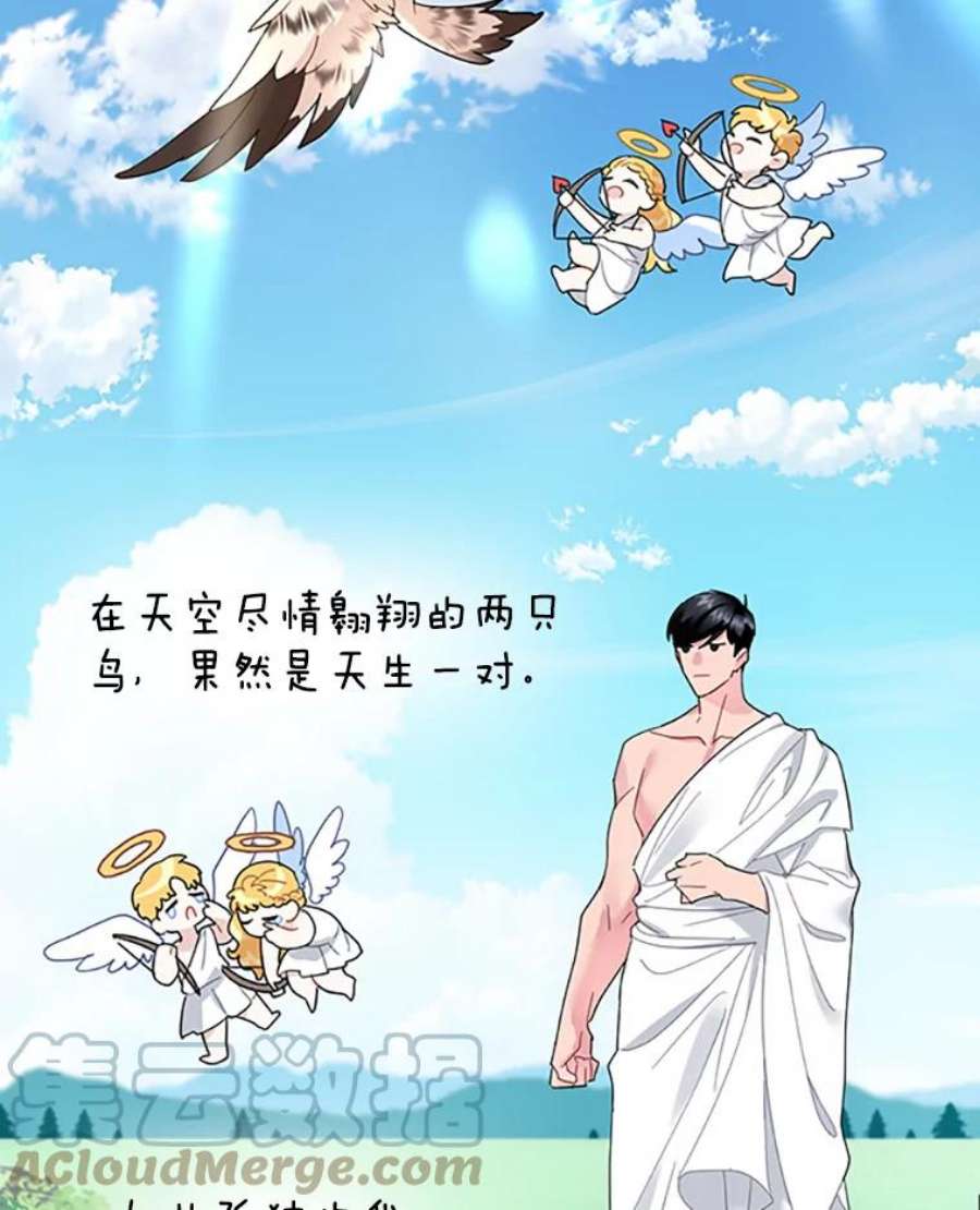 传令鸟公主殿下24.被鸟看上了？