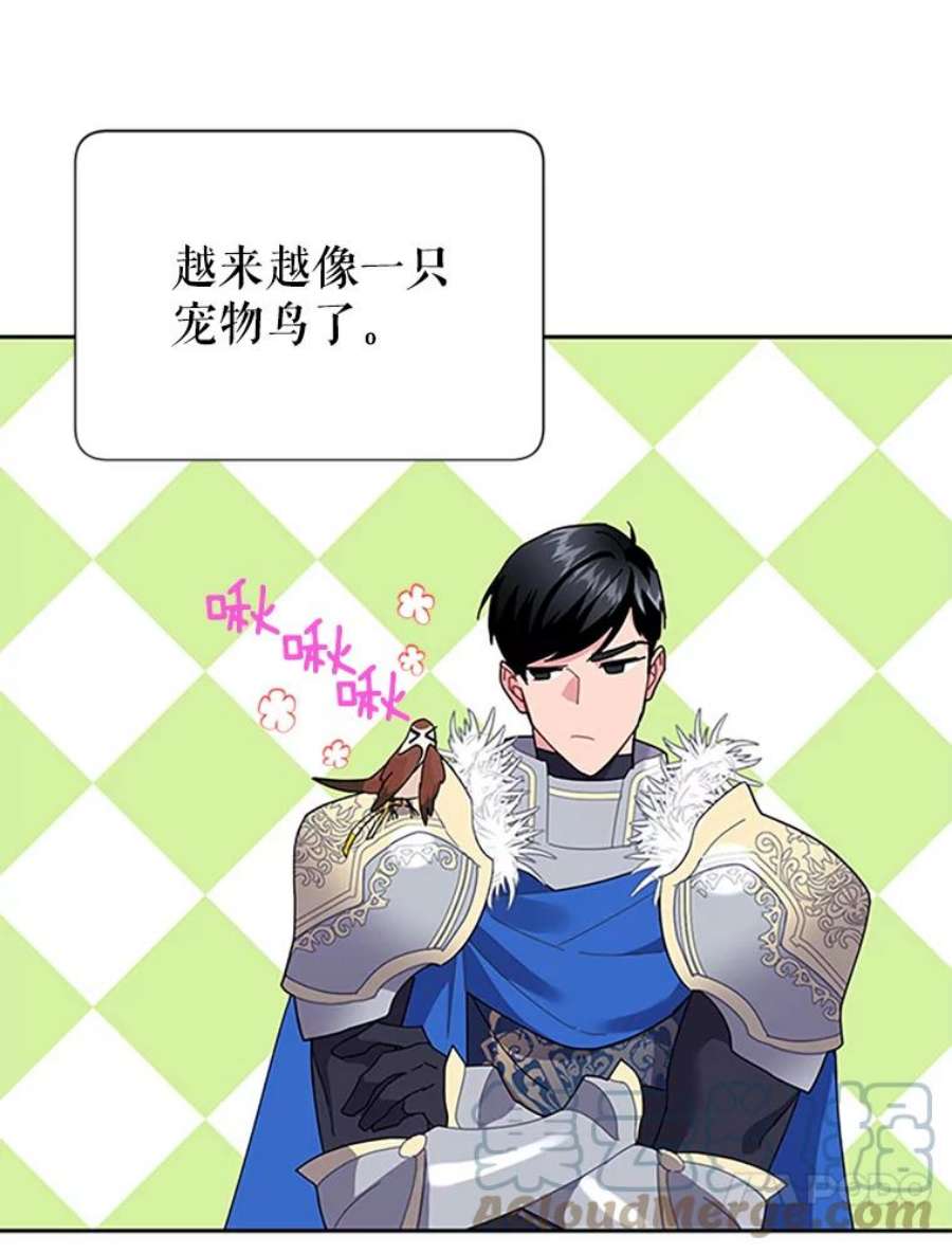 传令鸟公主殿下24.被鸟看上了？