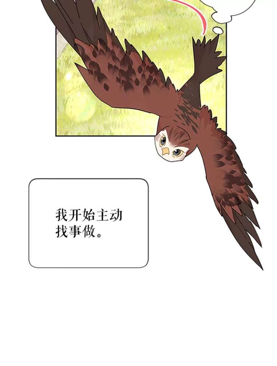 传令鸟公主殿下24.被鸟看上了？
