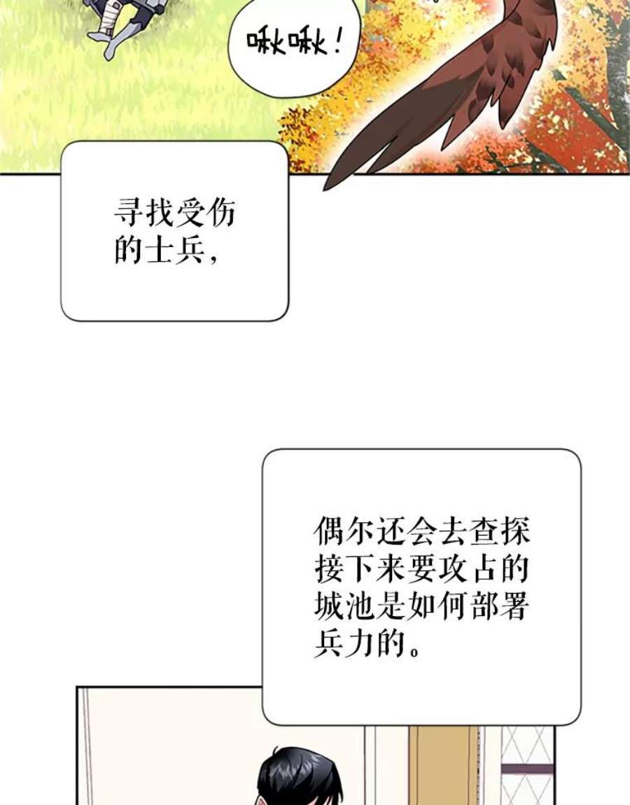 传令鸟公主殿下24.被鸟看上了？