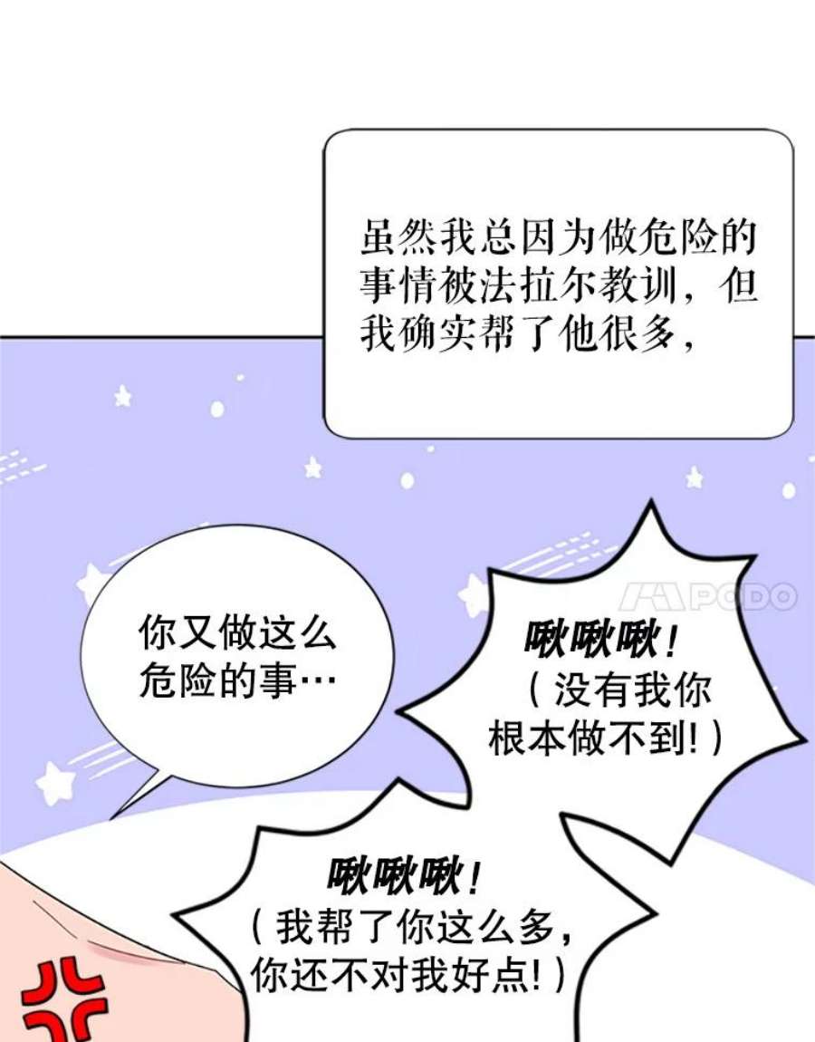 传令鸟公主殿下24.被鸟看上了？