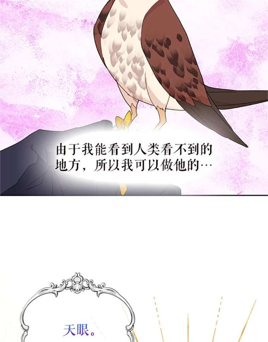传令鸟公主殿下24.被鸟看上了？