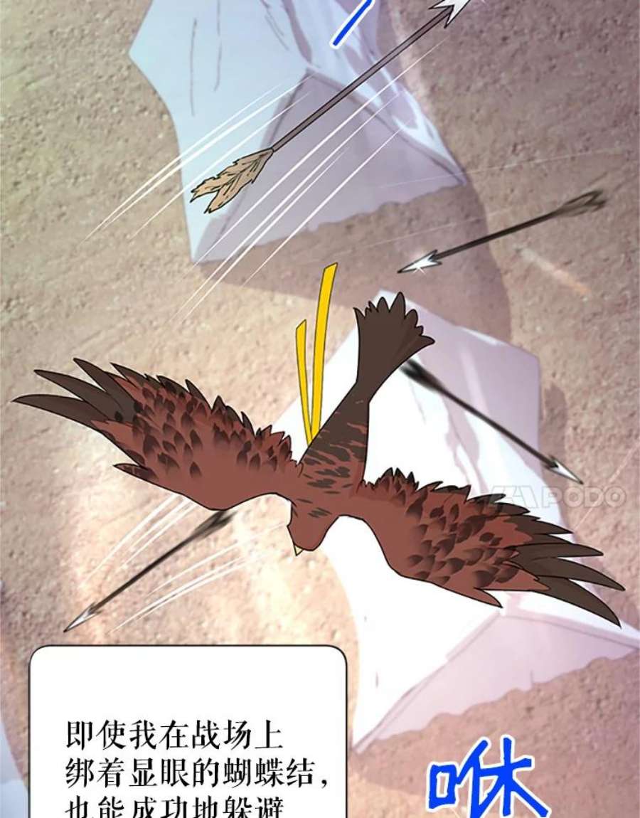 传令鸟公主殿下24.被鸟看上了？