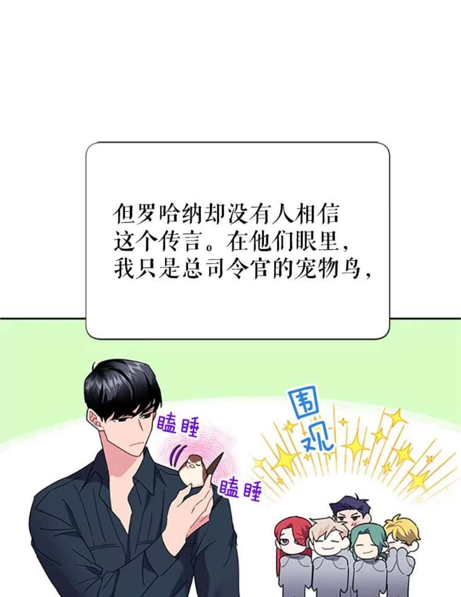 传令鸟公主殿下24.被鸟看上了？