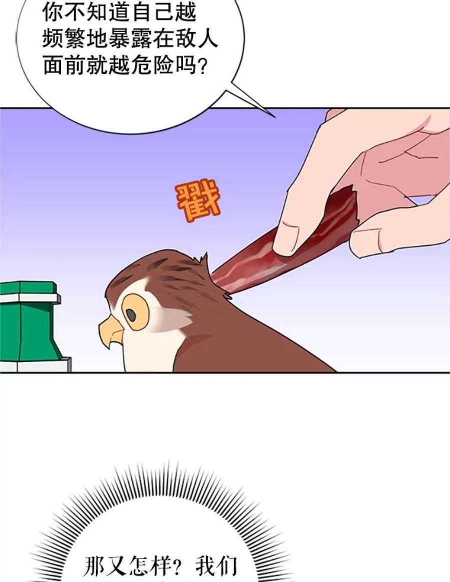 传令鸟公主殿下24.被鸟看上了？