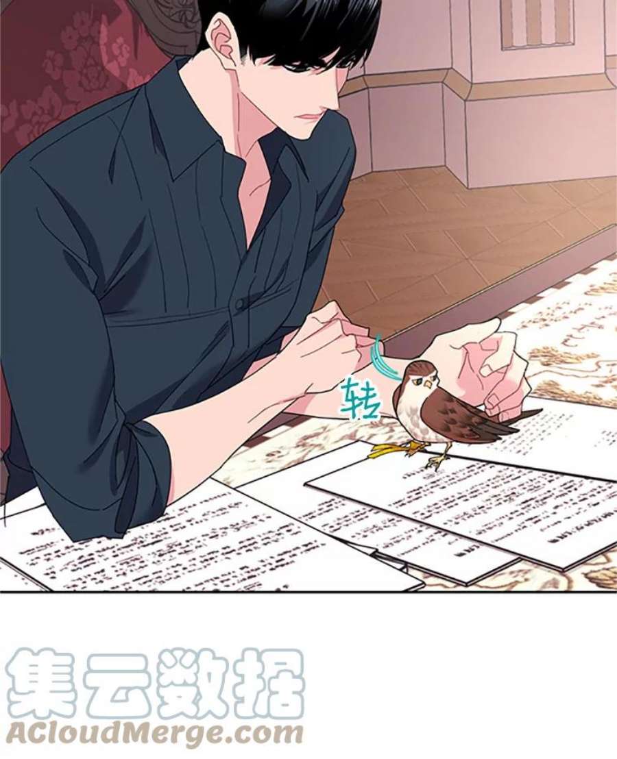传令鸟公主殿下24.被鸟看上了？