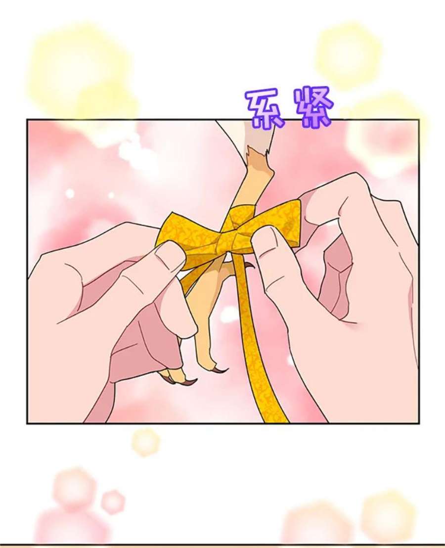传令鸟公主殿下24.被鸟看上了？