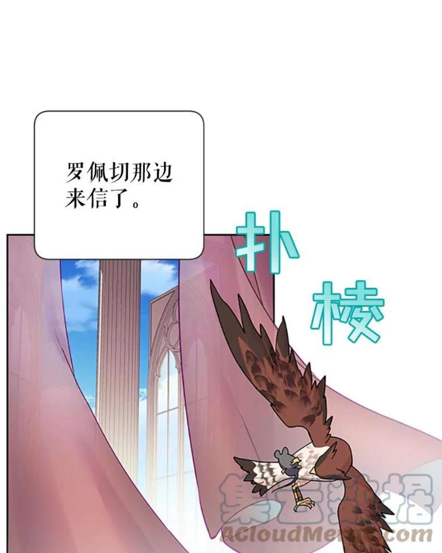 传令鸟公主殿下24.被鸟看上了？